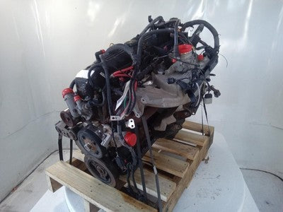 JEEP WRANGLER TJ COIL PACK 4.0L PETROL ENGINE AMC 242 2002-2007