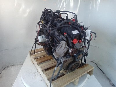 JEEP WRANGLER TJ COIL PACK 4.0L PETROL ENGINE AMC 242 2002-2007