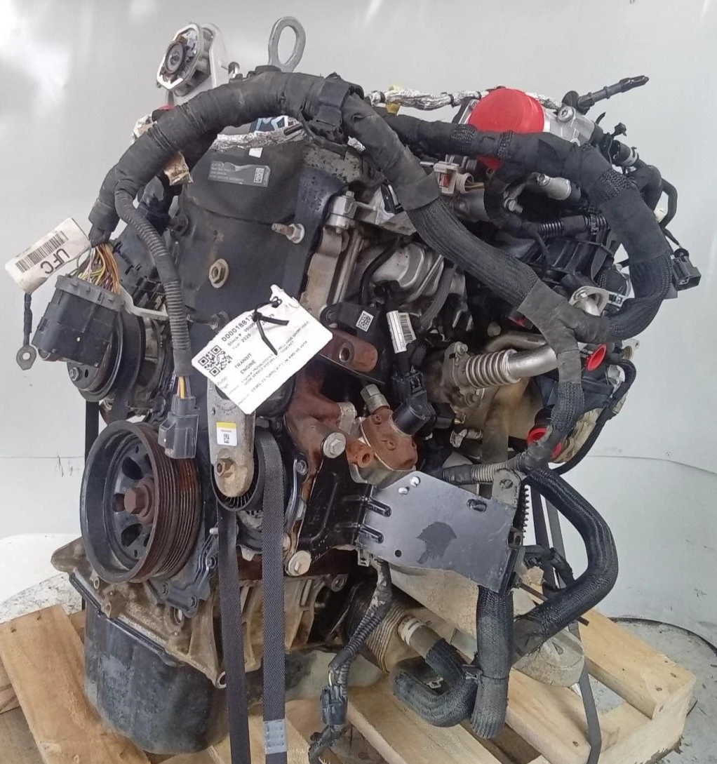 FORD TRANSIT 2.0L TURBO DIESEL ENGINE  AUTO T/M  RWD VO 2019-2024