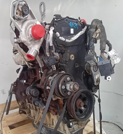 FORD TRANSIT 2.0L TURBO DIESEL ENGINE  AUTO T/M  RWD VO 2019-2024